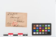 Etiketten zu Bernsteinringperle (NHMW-PRAE-024817)